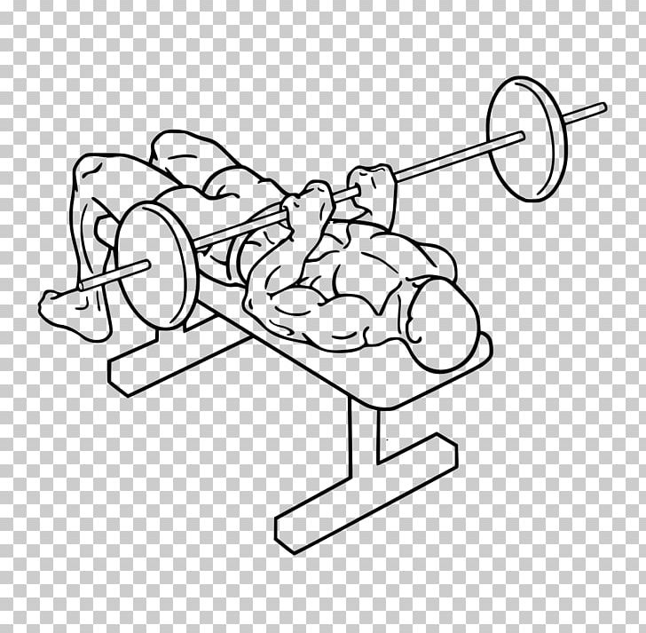 Bench Press Triceps Brachii Muscle Exercise Lying Triceps Extensions PNG, Clipart, Angle, Area, Arm, Art, Auto Part Free PNG Download