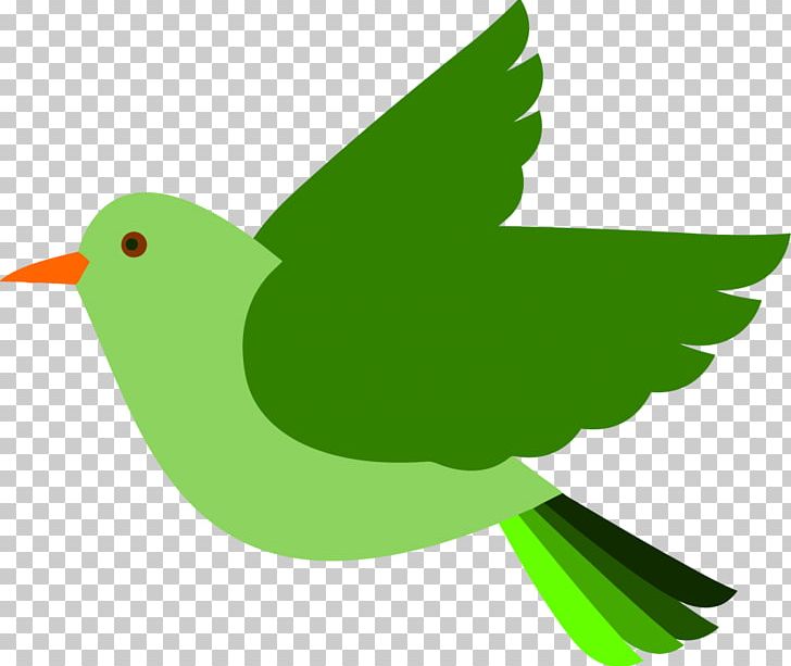 Bird PNG, Clipart, Animals, Beak, Bird, Bird Clipart, Bird Flight Free PNG Download
