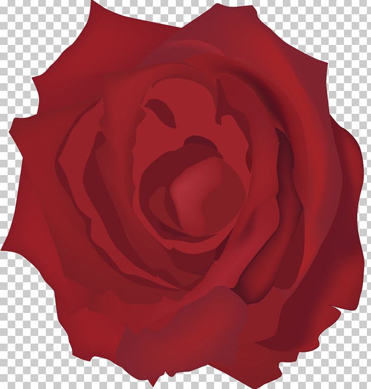 Garden Roses Beach Rose Euclidean Red PNG, Clipart, Beach Rose, Download, Euclidean Vector, Flower, Flowering Plant Free PNG Download