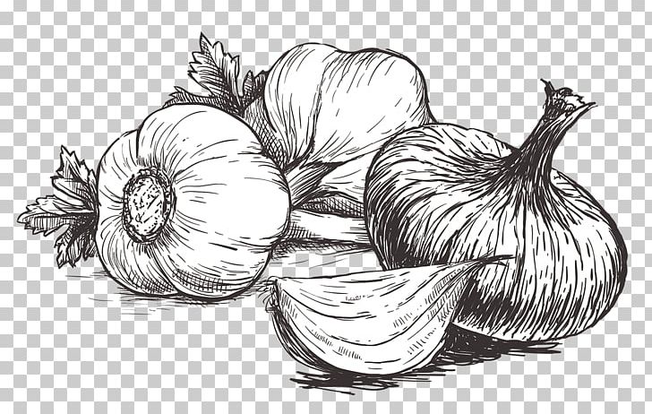 Illustration Graphics Drawing IStock Garlic PNG, Clipart, Artwork, Black And White, Condiment, Drawing, Flowering Plant Free PNG Download