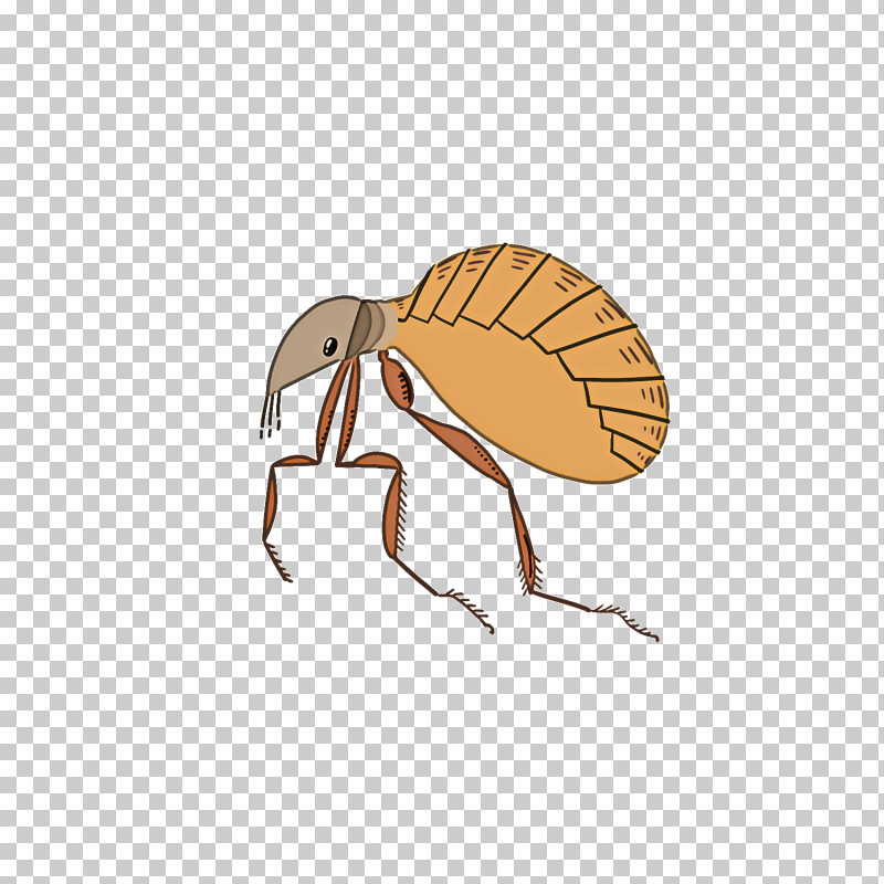 Insect Pest Weevil Membrane-winged Insect Ant PNG, Clipart, Ant, Insect, Membranewinged Insect, Pest, Weevil Free PNG Download