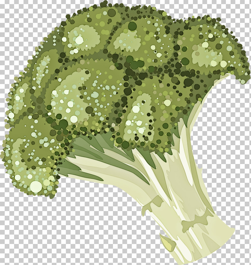 Flower Plant Leaf Broccoli Leaf Vegetable PNG, Clipart, Broccoli, Flower, Grass, Leaf, Leaf Vegetable Free PNG Download