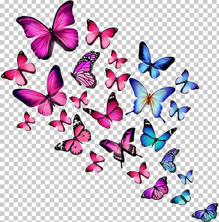 Butterfly Desktop Stock Photography PNG, Clipart, Blue, Brush Footed Butterfly, Butterfly, Computer Icons, Desktop Wallpaper Free PNG Download