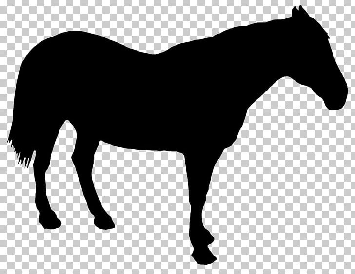 Draft Horse Drawing Silhouette PNG, Clipart, Animals, Black, Black And White, Bridle, Colt Free PNG Download