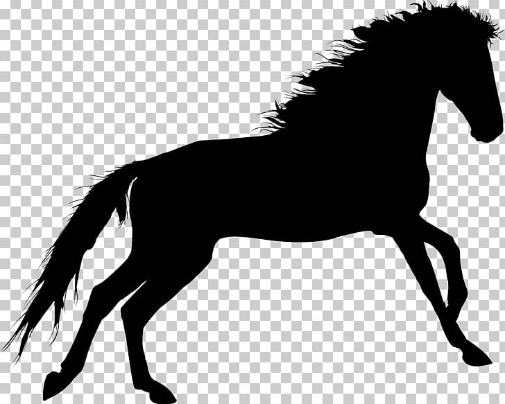 Horse Silhouette Pleasure Riding PNG, Clipart, Animals, Black And White, Bridle, English Riding, Equestrian Free PNG Download