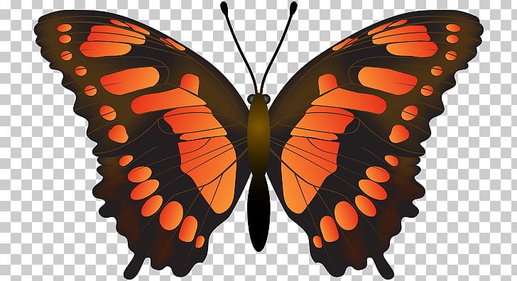 Monarch Butterfly PNG, Clipart, Arthropod, Brush Footed Butterfly, Cartoon, Digital Image, Insects Free PNG Download