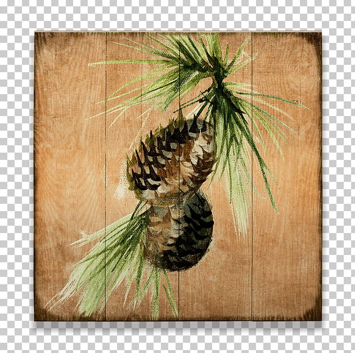 Pine Cone Design Conifer Cone Art PNG, Clipart, Animal, Art, Branch, Butte, Character Free PNG Download