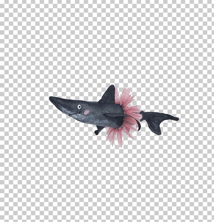 Shark Illustration PNG, Clipart, Animals, Balloon Cartoon, Black, Black Shark, Boy Cartoon Free PNG Download