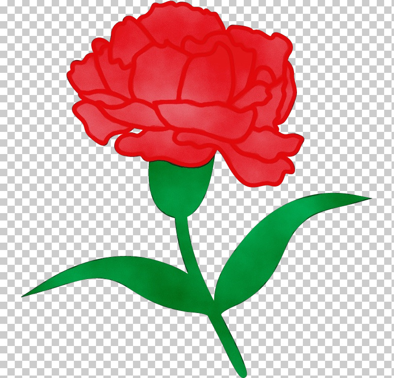 Rose PNG, Clipart, Camellia, Carnation, Cut Flowers, Flower, Paint Free PNG Download