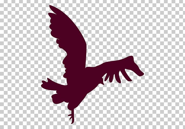 Bird Silhouette Flight PNG, Clipart, Animals, Beak, Bird, Bird Fly, Bird Of Prey Free PNG Download