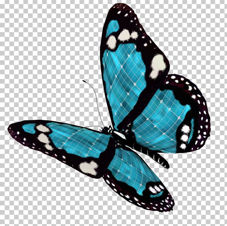 Desktop Butterfly PNG, Clipart, 4shared, Brush Footed Butterfly, Butterfly, Computer Icons, Desktop Wallpaper Free PNG Download