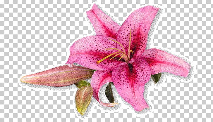 Floral Design Wedding Flower Bouquet PNG, Clipart, Bride, Centrepiece, Clip Art, Cut Flowers, Floral Design Free PNG Download