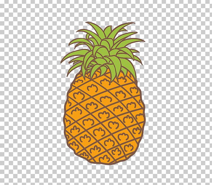 Pineapple Fruit Orange PNG, Clipart, Ananas, Apple Fruit, Auglis, Bromeliaceae, Cartoon Free PNG Download