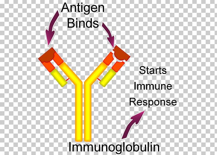 Antibody Clipart