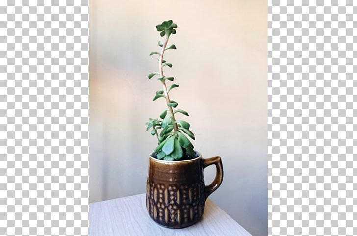 Houseplant Flowerpot Ceramic PNG, Clipart, Art, Ceramic, Flowerpot, Houseplant, Plant Free PNG Download