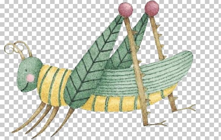 Insect Caelifera Drawing Grasshopper PNG, Clipart, Animal, Ant, Caricature, Cartoon, Cicadas Free PNG Download