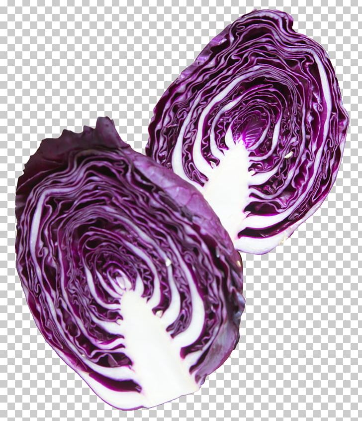 Red Cabbage Purple Vegetable PNG, Clipart, Art, Brassica Juncea, Brassica Oleracea, Cabbage, Color Free PNG Download