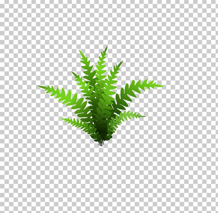 Drawing Plant Illustration PNG, Clipart, Artificial Grass, Cartoon Grass, Creative Grass, Decoration, Drawing Free PNG Download