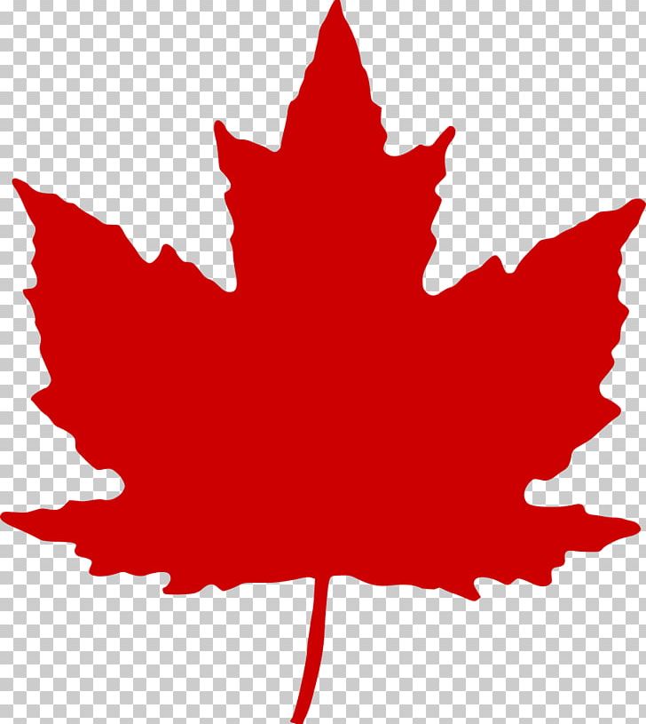 Canada Maple Leaf PNG, Clipart, Canada, Clip Art, Computer Icons, Flag Of Canada, Flowering Plant Free PNG Download