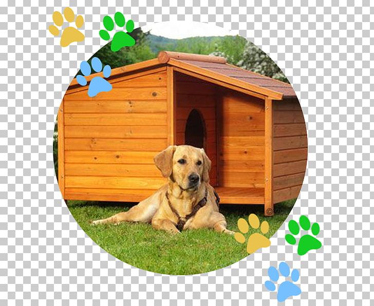 Dog Houses Cat Kennel Pet PNG, Clipart, Animal, Animals, Animal Shelter, Cat, Dog Free PNG Download