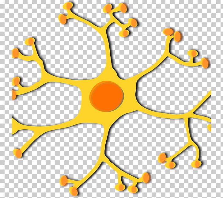 Motor Neuron Graphics Nervous System PNG, Clipart, Area, Artwork, Axon, Biology, Body Jewelry Free PNG Download