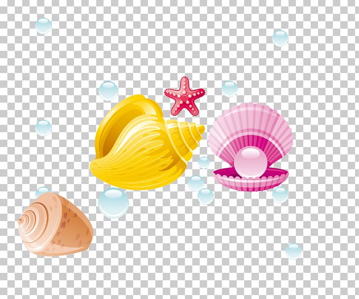 Pearl Seashell Conch PNG, Clipart, Conch, Conch Shell, Conch Vector, Designer, Download Free PNG Download