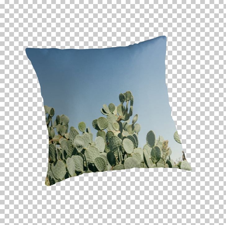 Throw Pillows Cushion PNG, Clipart, Cushion, Furniture, Pillow, Prickly Pear, Throw Pillow Free PNG Download