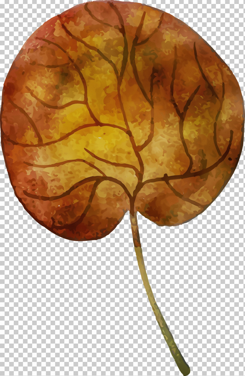 Pumpkin PNG, Clipart, Autumn, Autumn Element, Cherry, Color, Colorful Leaf Free PNG Download