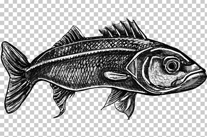Fish Products Sesimbra Swordfish Black Scabbardfish PNG, Clipart, Animals, Black And White, Black Scabbardfish, Bony Fish, Cod Free PNG Download