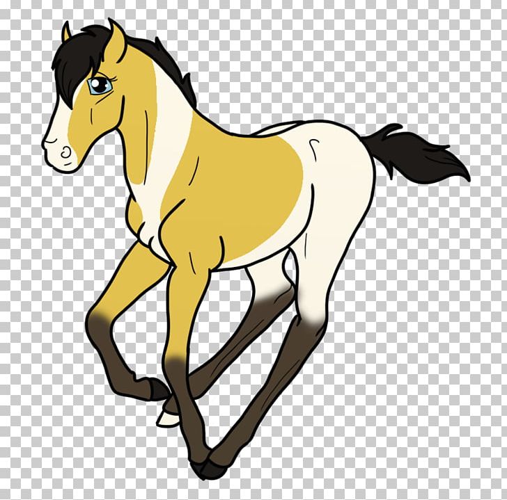 Mustang Foal Halter Stallion PNG, Clipart,  Free PNG Download