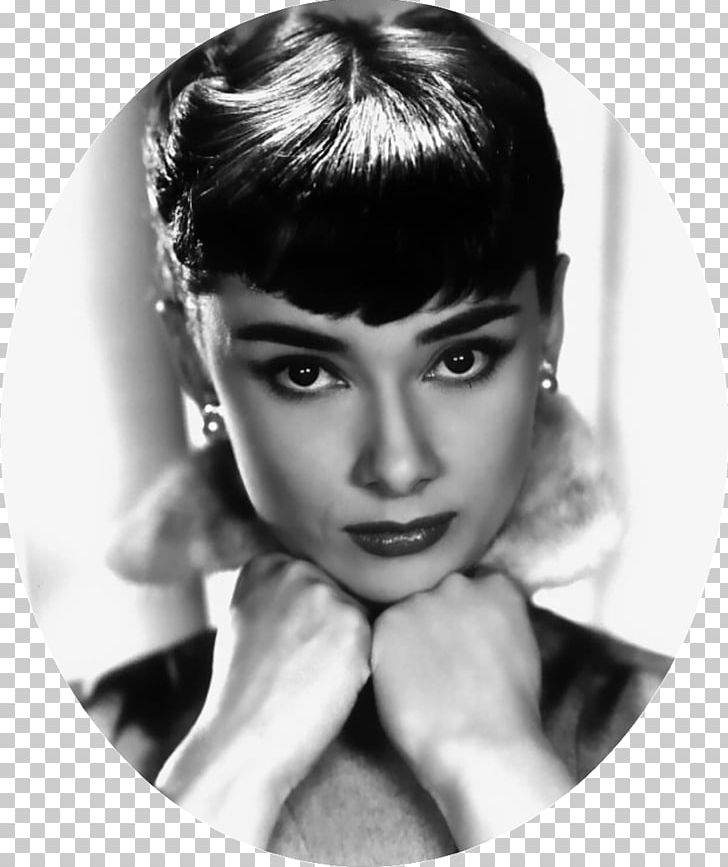 Audrey Hepburn Roman Holiday Art Film PNG, Clipart,  Free PNG Download