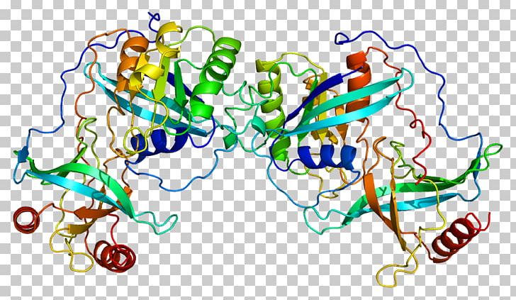 RANBP2 Protein Nucleoporin Karyopherin PNG, Clipart, Area, Artwork, Cell Membrane, Cell Nucleus, Cytoplasm Free PNG Download