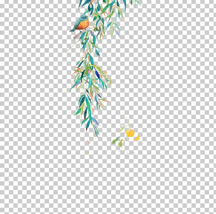 Willow PNG, Clipart, Bamboo, Birds, Bran, Branch, Cartoon Free PNG Download