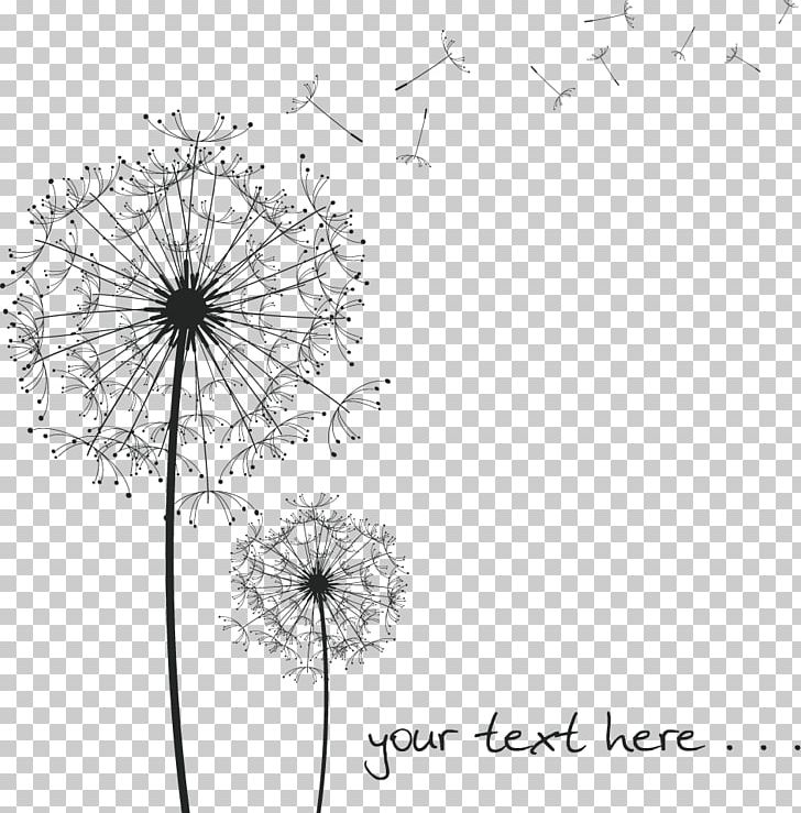 Common Dandelion Black And White Drawing PNG, Clipart, Angle, Area, Black, Black Dandelion, Circle Free PNG Download