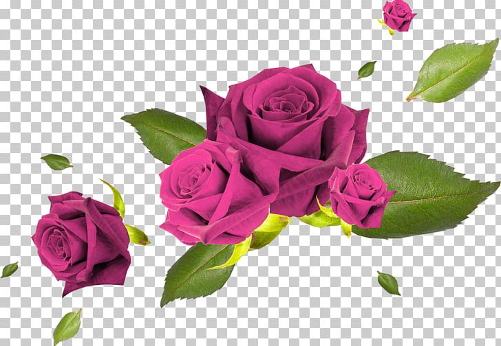 Flower Garden Roses PNG, Clipart, Cut Flowers, Floral Design, Floribunda, Floristry, Flower Free PNG Download