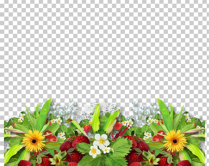 Paper PNG, Clipart, Annual Plant, Border, Computer Icons, Computer Wallpaper, Daisy Free PNG Download