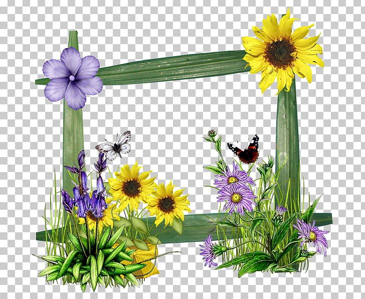 PicMix Animation Photomontage Photography PNG, Clipart, Animation, Annual Plant, Cartoon, Daisy, Daisy Family Free PNG Download