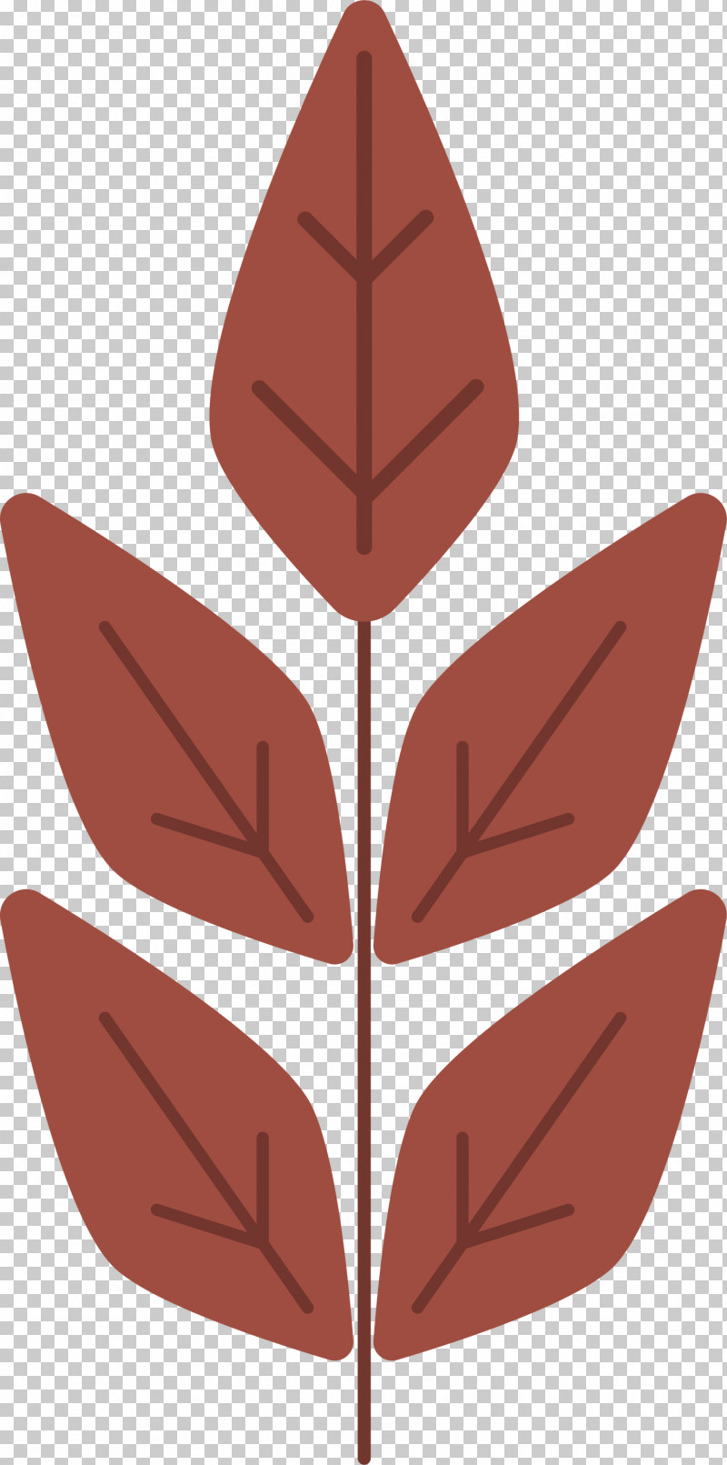 Leaf Flower Pattern Symmetry Angle PNG, Clipart, Angle, Biology, Flower, Leaf, Mtree Free PNG Download