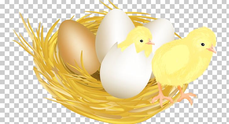 Chicken Meat Eggshell Drawing PNG, Clipart, Animals, Animation, Beak, Bird, Chicken Free PNG Download