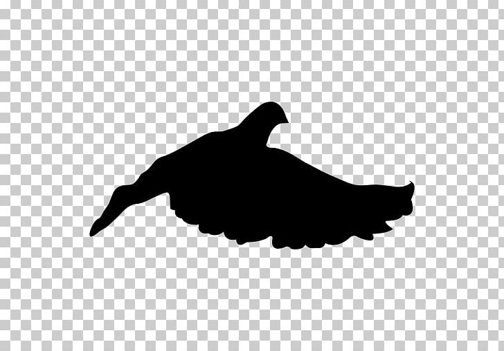 Encapsulated PostScript Silhouette PNG, Clipart, Animals, Beak, Bird, Black, Black And White Free PNG Download