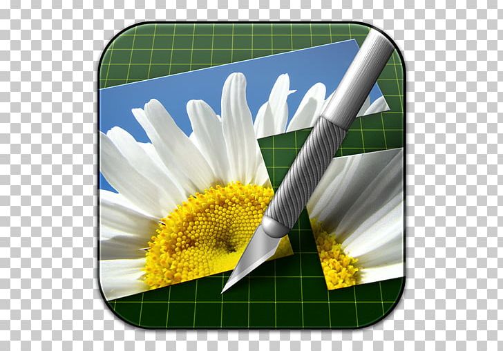 Energy Flower Yellow PNG, Clipart, Application, Canon, Company, Computer Icons, Download Free PNG Download