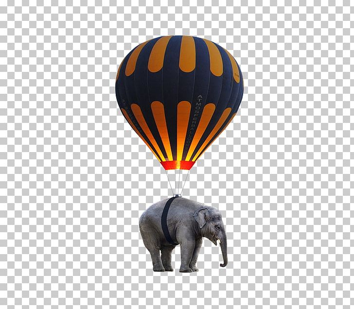 Hot Air Ballooning Elephant Toy Balloon PNG, Clipart, Animation, Balloon, Download, Elephant, Elephants And Mammoths Free PNG Download