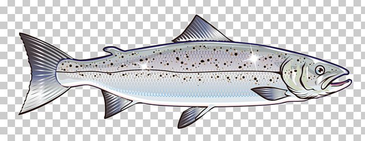 Salmon Graphics Stock Illustration PNG, Clipart, Animal Figure, Atlantic Salmon, Bony Fish, Chinook Salmon, Fish Free PNG Download
