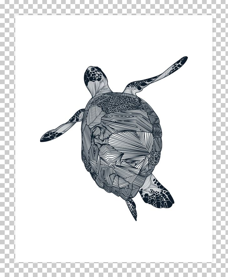 Sea Turtle Tortoise Drawing /m/02csf PNG, Clipart, Animals, Art Print, Black And White, Black Art, Drawing Free PNG Download