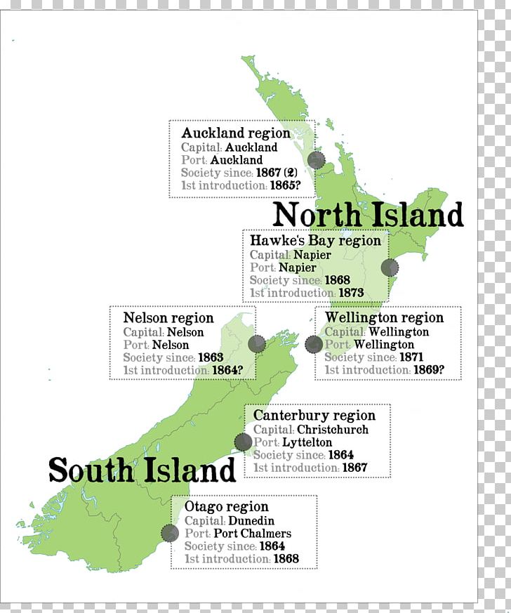 Bird Acclimatisation Societies In New Zealand Location Map Yellowhammer PNG, Clipart, Animals, Area, Auckland, Bird, Brand Free PNG Download