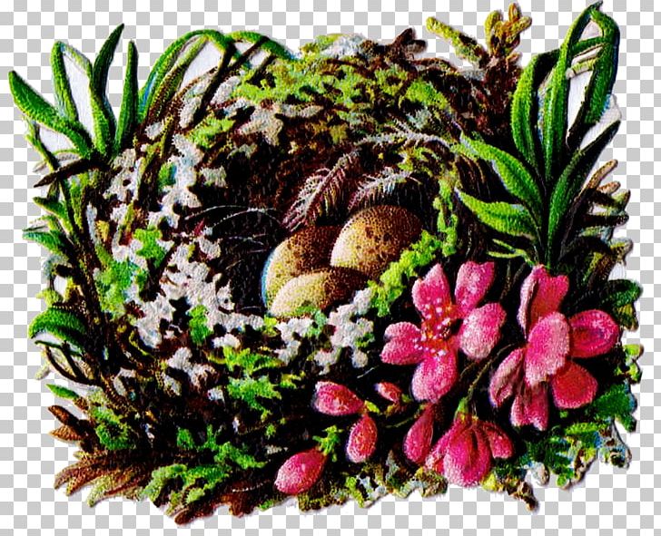 Bird Nest Egg PNG, Clipart, Animals, Bird, Bird Egg, Bird Nest, Christmas Free PNG Download
