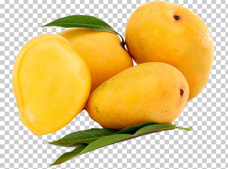 Devgad Taluka Alphonso Mangifera Indica Mango Fruit PNG, Clipart, Alphonso, Citrus, Devgad Taluka, Food, Fruit Free PNG Download
