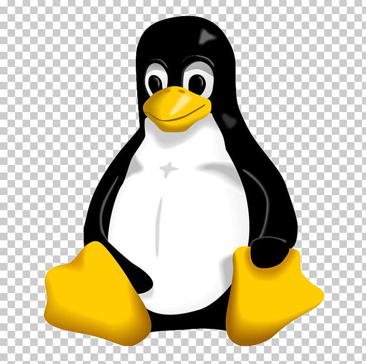 Linux Tux Logo PNG, Clipart, Arch Linux, Beak, Bird, Computer Software, Flightless Bird Free PNG Download