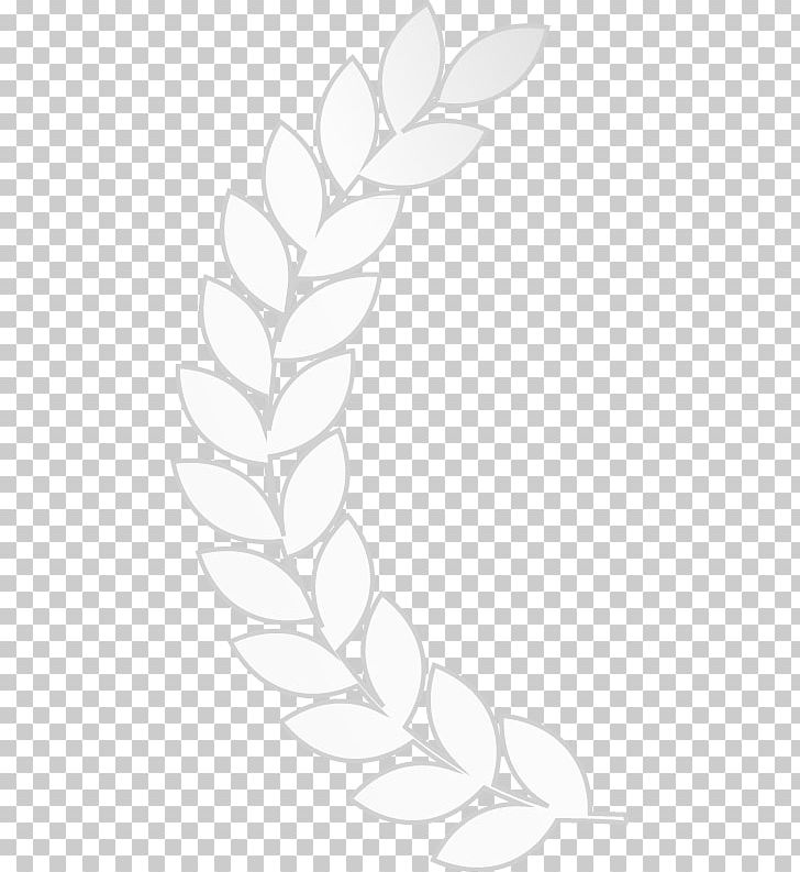 White Leaf Petal Plant Stem PNG, Clipart, Angle, Area, Black, Black And White, Branch Free PNG Download