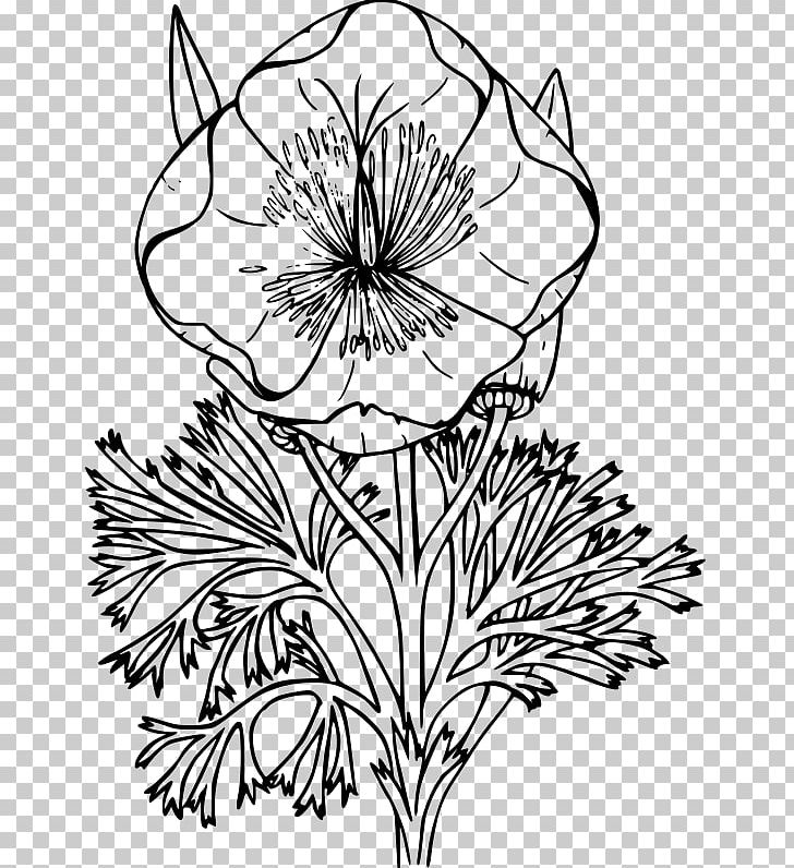 California Poppy Remembrance Poppy White Poppy Drawing PNG, Clipart, Artwork, Black And White, California Poppy, Color, Common Poppy Free PNG Download